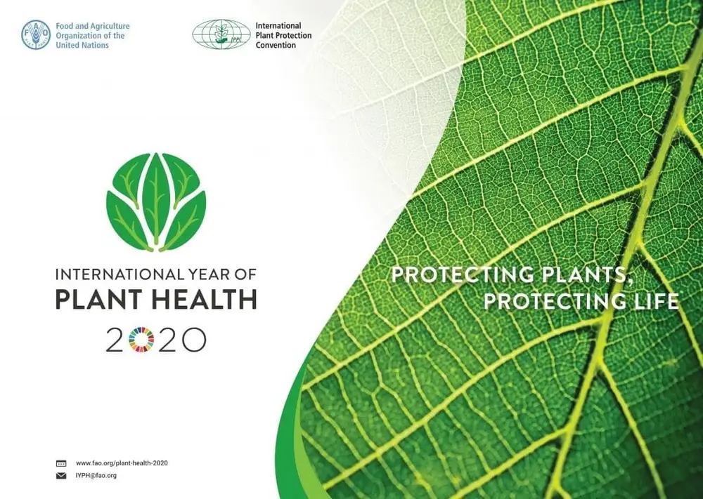 2020 国际植物健康年宣传图（FAO / IPPC）