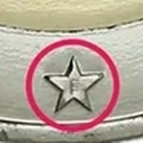€C# 253.2 印记特写