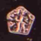 “YS”“AGMP”五边形